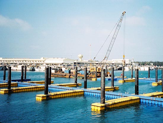 Floating Dock/floating bridge/yacht dock