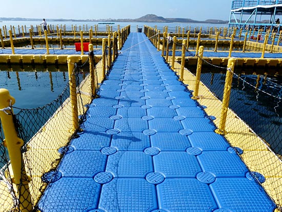 Cage culture/Fish farm/aquaculture buoys