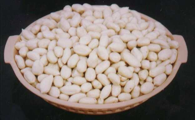 blanched peanut kernel