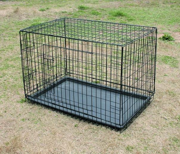 Collapsible double-door dog crate