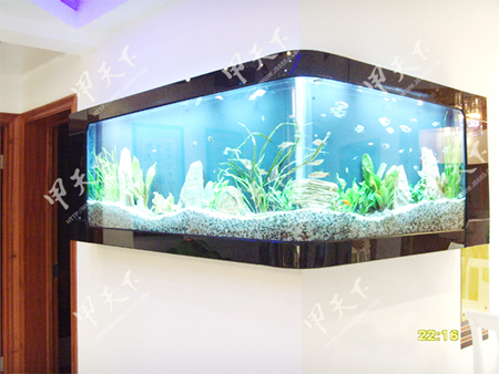 wall hanging fish aquarium
