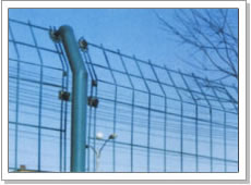 Wire Mesh Fence