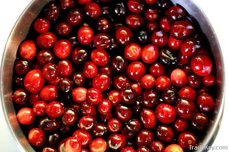 Cranberry extract