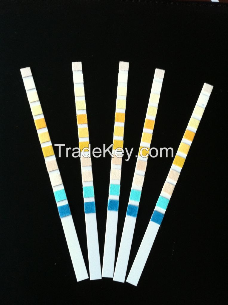 urine reagent strip