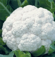 Cauliflower