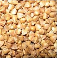 high-quality buckwheat kernel