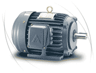 AC Induction Motors