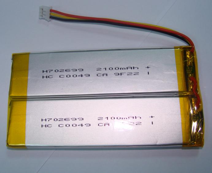 lithium polymer battery