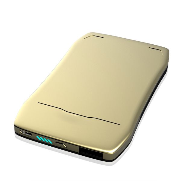 Li-Polymer 2500 mAh Power Bank