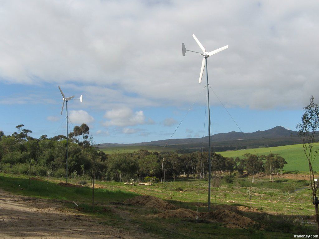 wind turbine 1000W