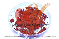 astaxanthin (A015, 1.5% astaxanthin)