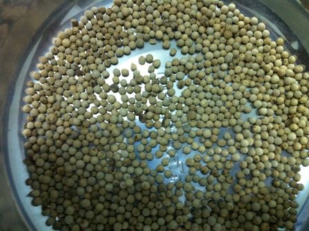 WHITE PEPPER DOUBLE WASHED 630G/L