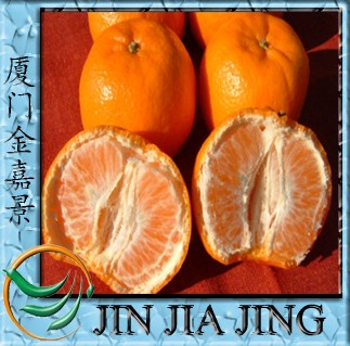 Mandarin orange