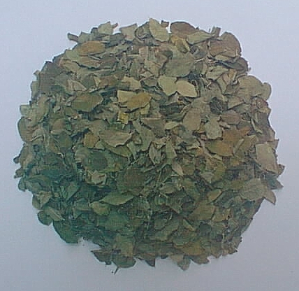 Moringa and Stevia Leaves and in powder form