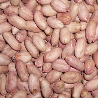 Large type peanut kernels