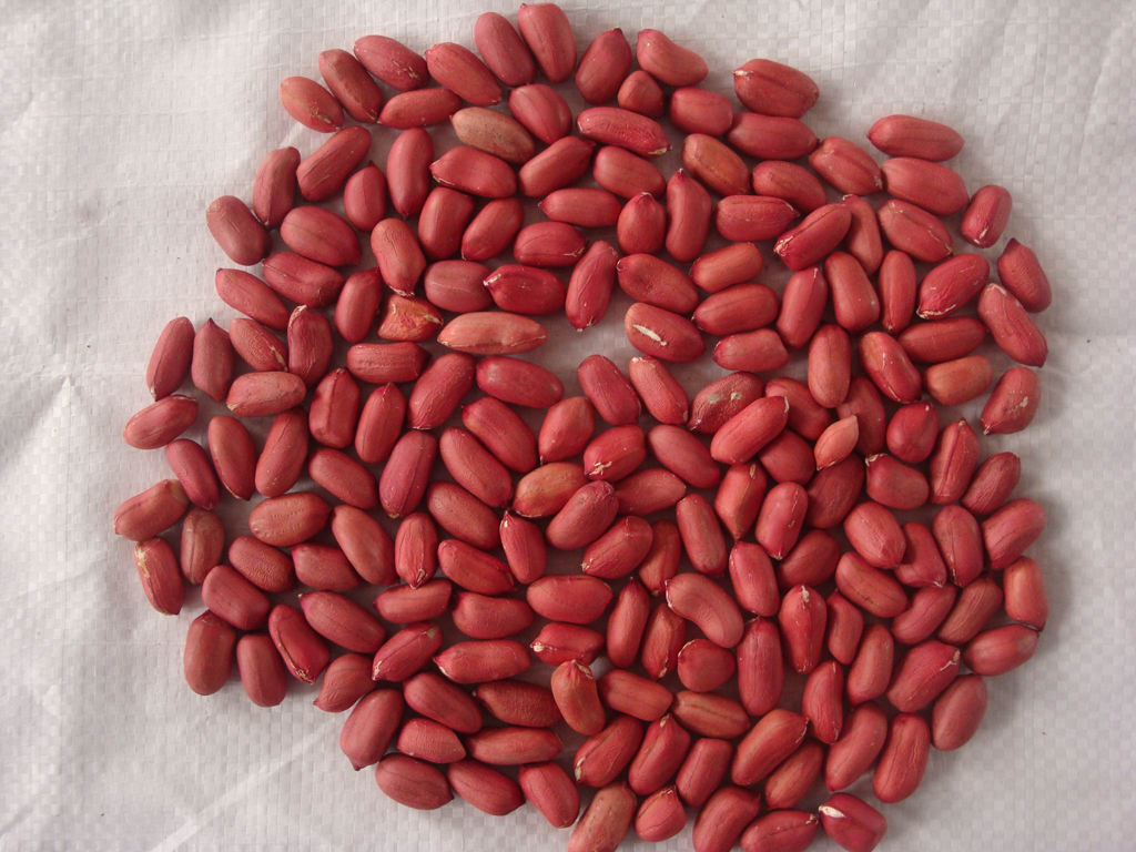 Red peanut kernels