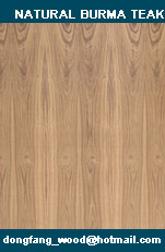 natural buma teak plywood