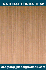 natural buma teak plywood