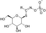 Glucosinolates