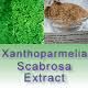 Xanthoparmelia Scabrosa extract