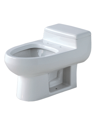 One-Piece Toilet