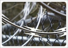 Razor Wire Barbed Tape