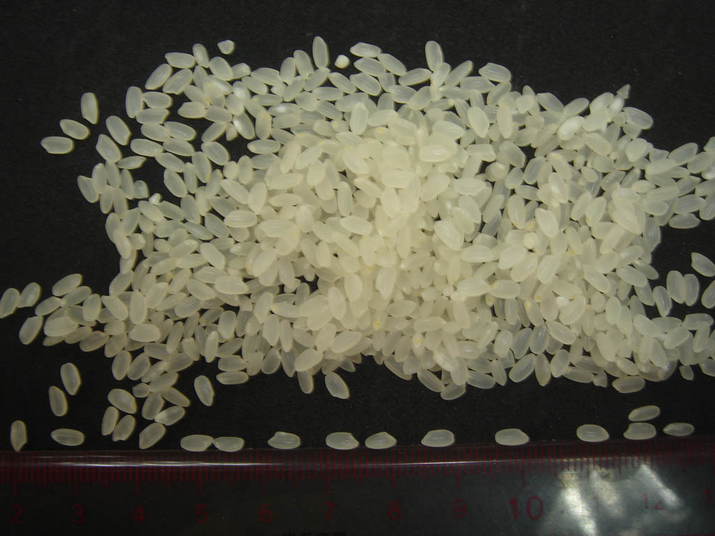 chinese short grain rice
