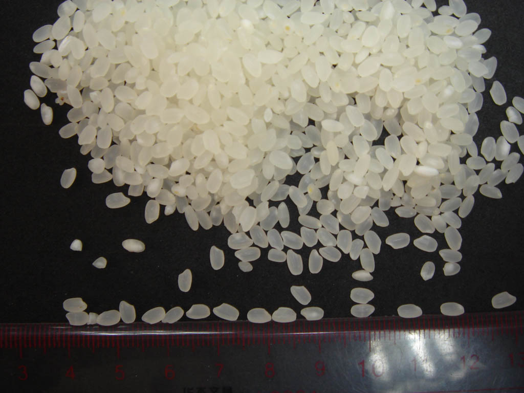chinese round grain rice