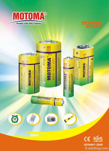 Zinc Chloride Dry Battery
