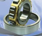 Cylindrical Roller Bearings