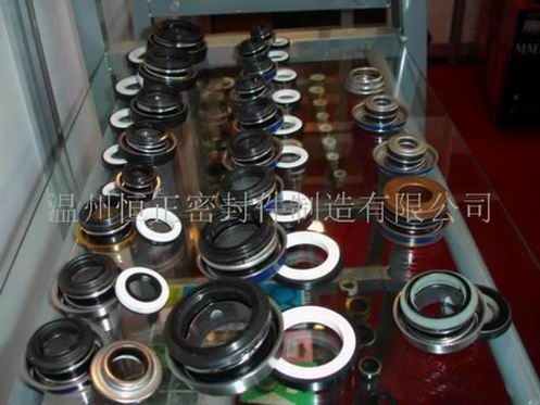 mechanical seals and auto pump seals manufacturer