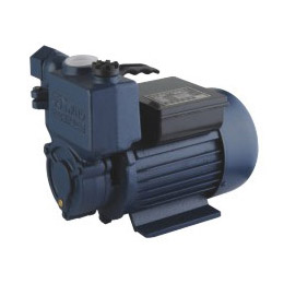 ZB Household Automatic Suction Pump