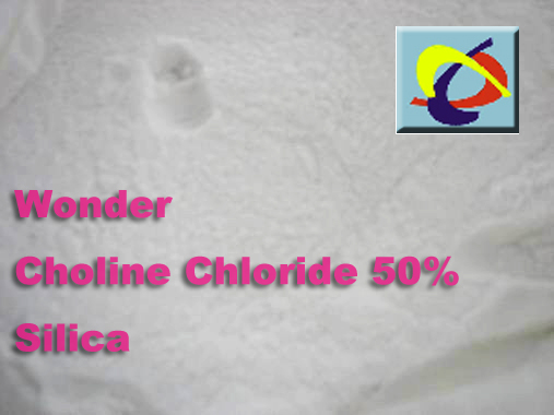 CHOLINE CHLORIDE 50% 60% SILICA