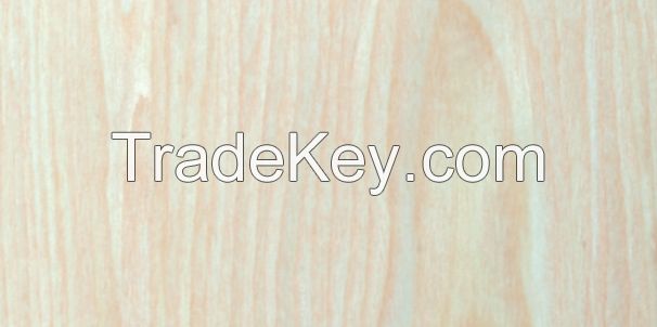 Maple engineered veneer