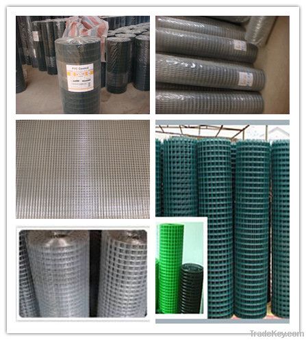 galvanized and pvc coated welded wire mesh