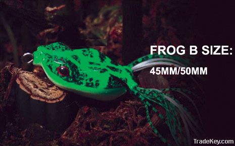 Frog B