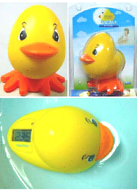 digital water thermometer