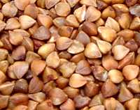 Roasted Buckwheat kernel