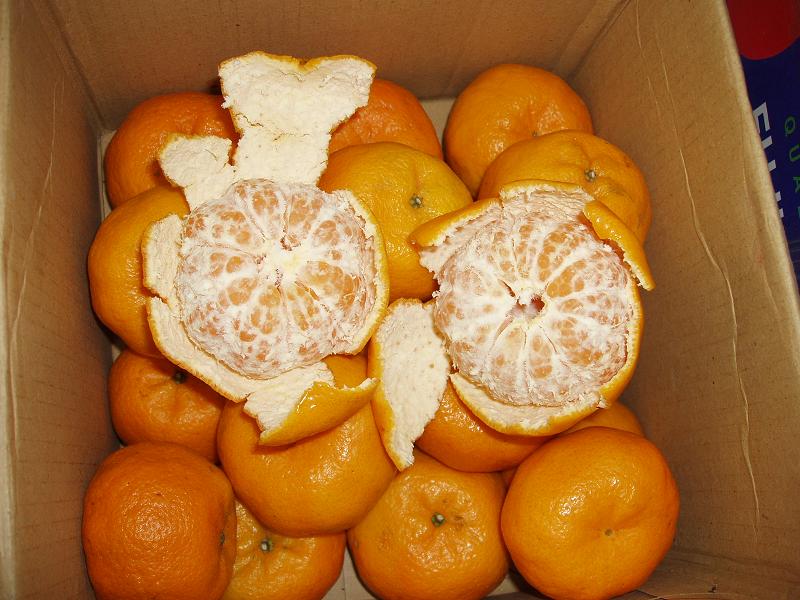 sell tangerin