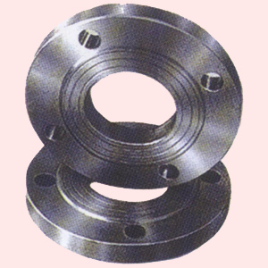 STAINLESS STEEL flange