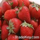 Strawberry Extract Powder