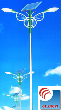 Solar Street Light