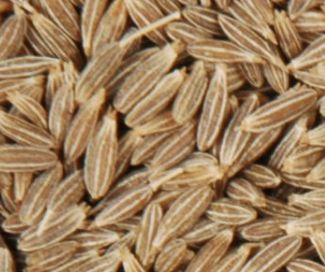 Cumin Seeds