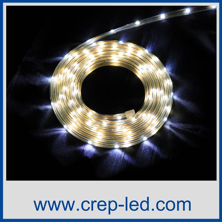 LED strip light(CPZ-BG-RGB-C12)