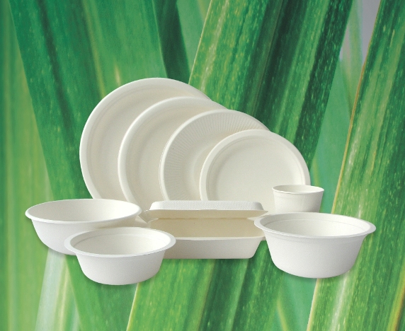 Sustainable Tableware