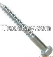 competitve price for wood screw DIN571