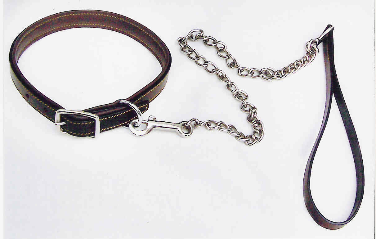 dog collar