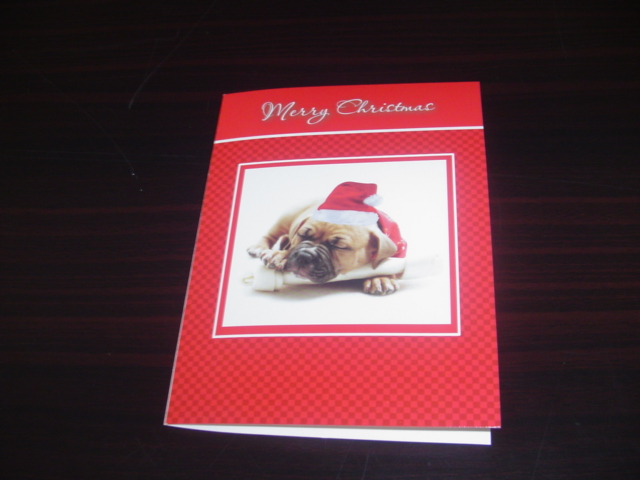 Christmas Card, Greeting card, Holiday card, Gift Card