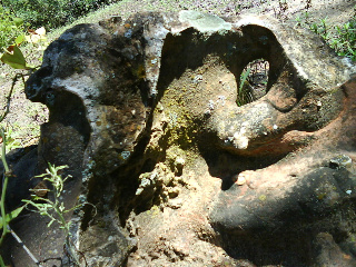 Landscaping Sponge Boulders 50-600 pound