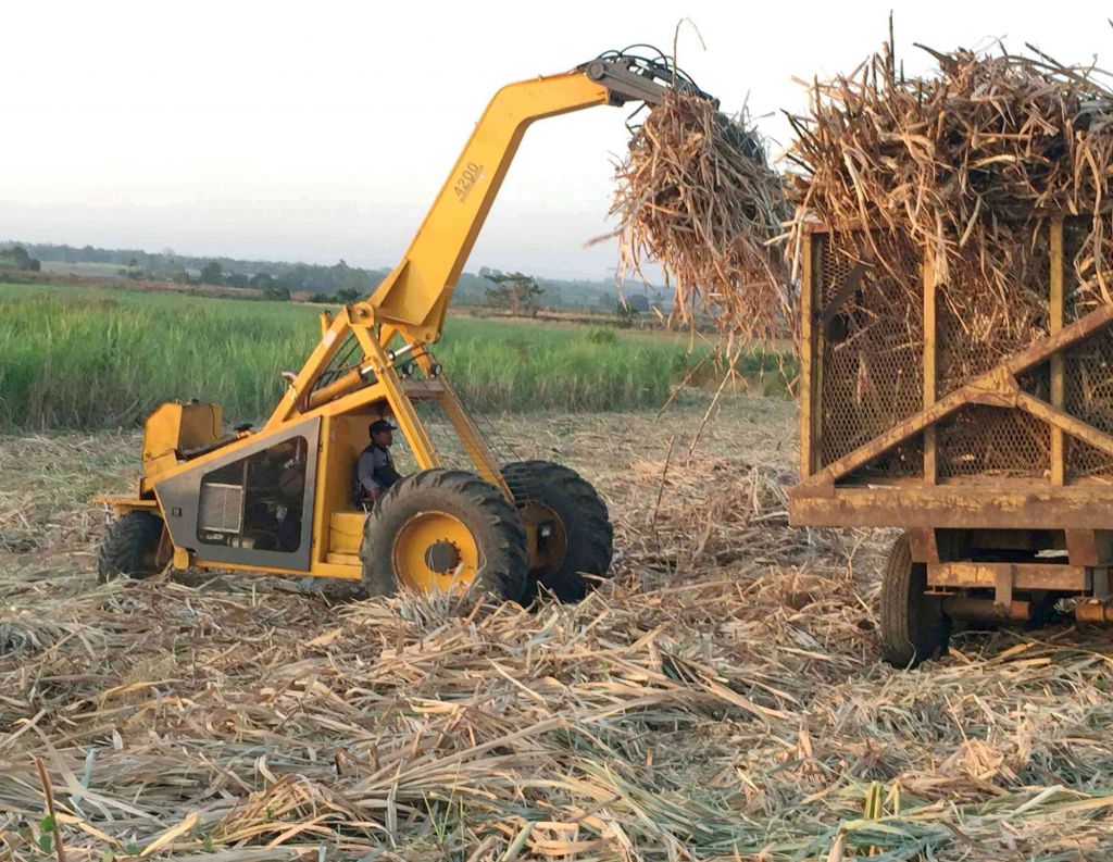 3 wheel sugarcane loader